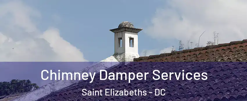 Chimney Damper Services Saint Elizabeths - DC