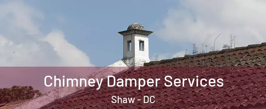 Chimney Damper Services Shaw - DC