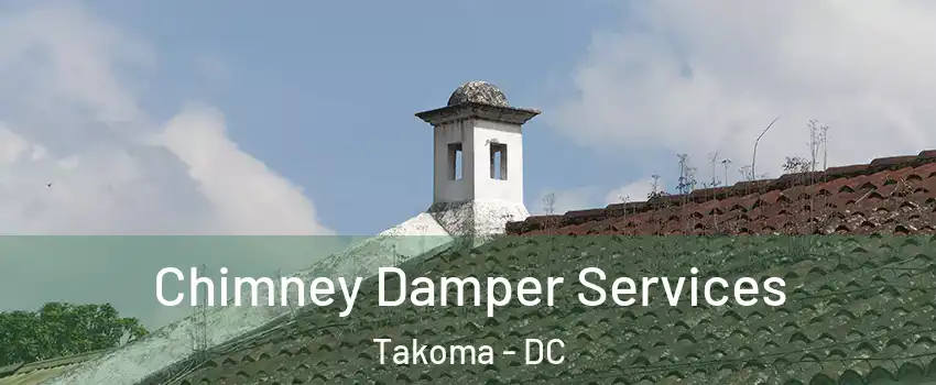 Chimney Damper Services Takoma - DC