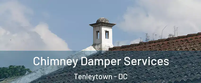 Chimney Damper Services Tenleytown - DC