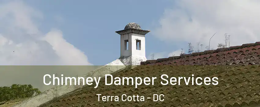 Chimney Damper Services Terra Cotta - DC