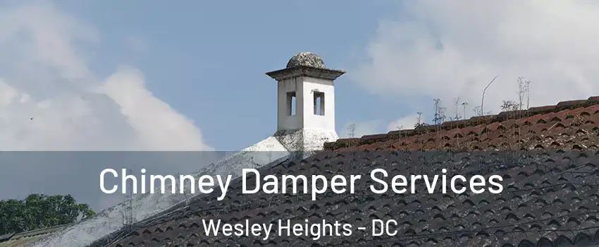 Chimney Damper Services Wesley Heights - DC