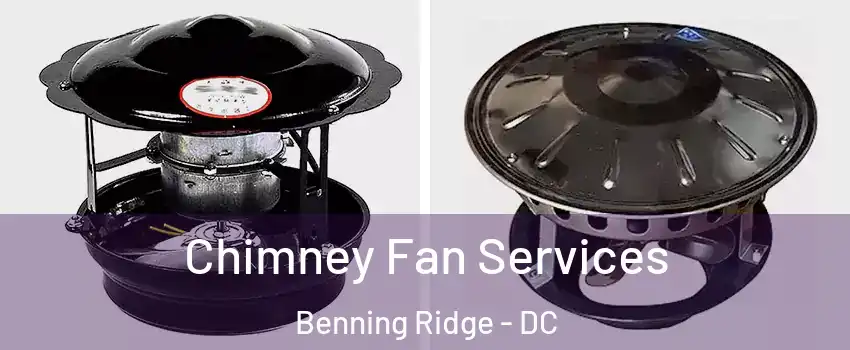 Chimney Fan Services Benning Ridge - DC