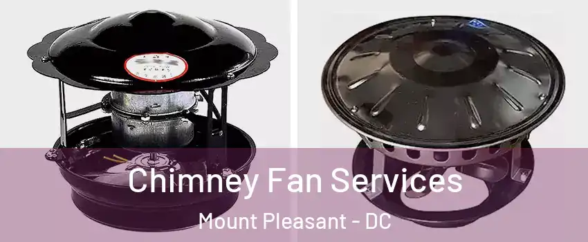 Chimney Fan Services Mount Pleasant - DC