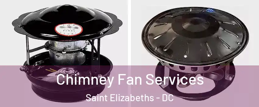 Chimney Fan Services Saint Elizabeths - DC