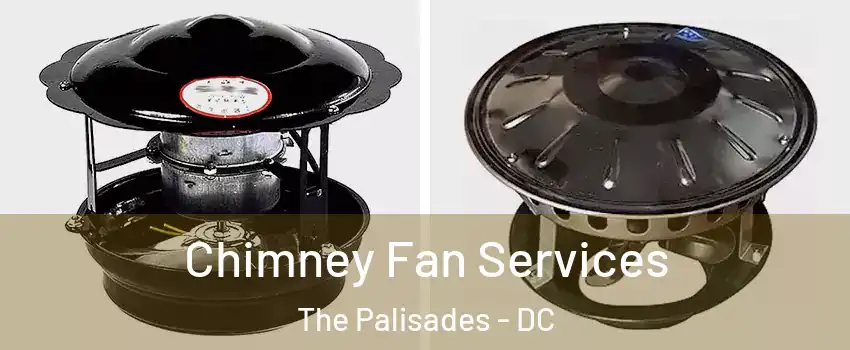 Chimney Fan Services The Palisades - DC