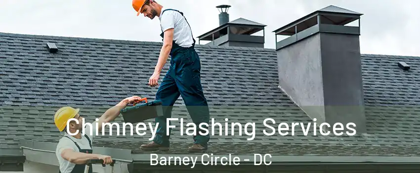 Chimney Flashing Services Barney Circle - DC