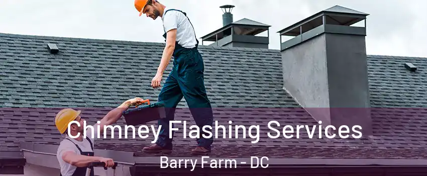 Chimney Flashing Services Barry Farm - DC