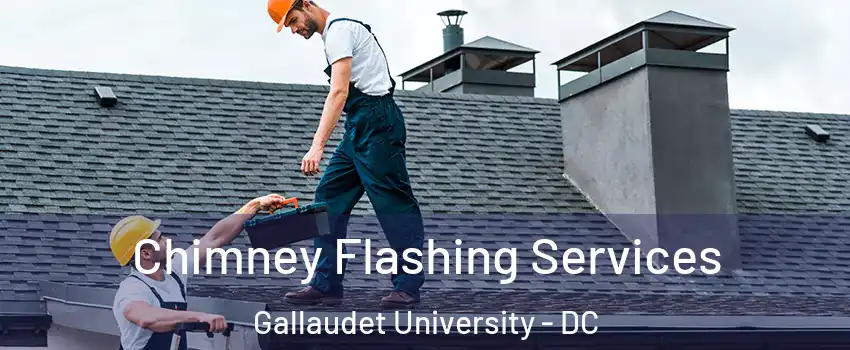 Chimney Flashing Services Gallaudet University - DC