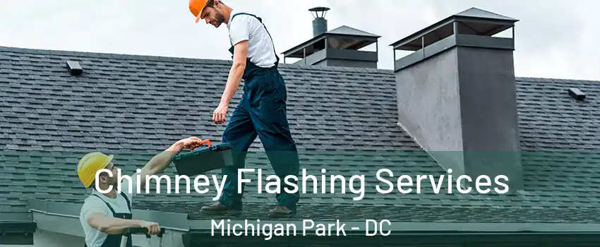 Chimney Flashing Services Michigan Park - DC