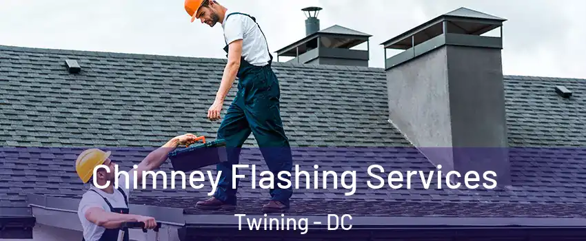 Chimney Flashing Services Twining - DC