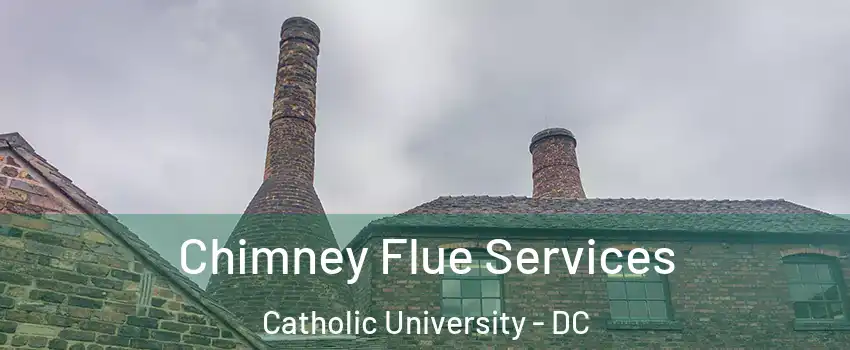 Chimney Flue Services Catholic University - DC