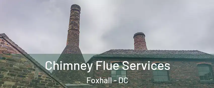 Chimney Flue Services Foxhall - DC