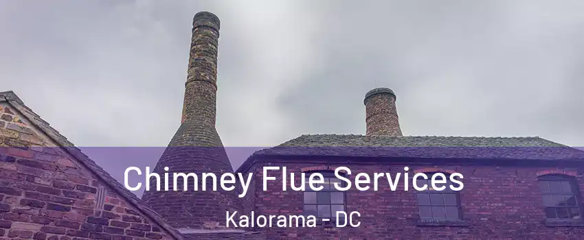 Chimney Flue Services Kalorama - DC