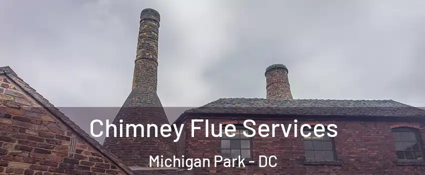 Chimney Flue Services Michigan Park - DC