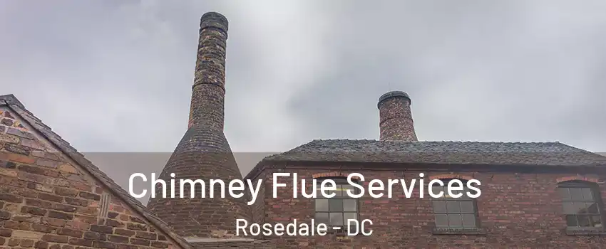 Chimney Flue Services Rosedale - DC