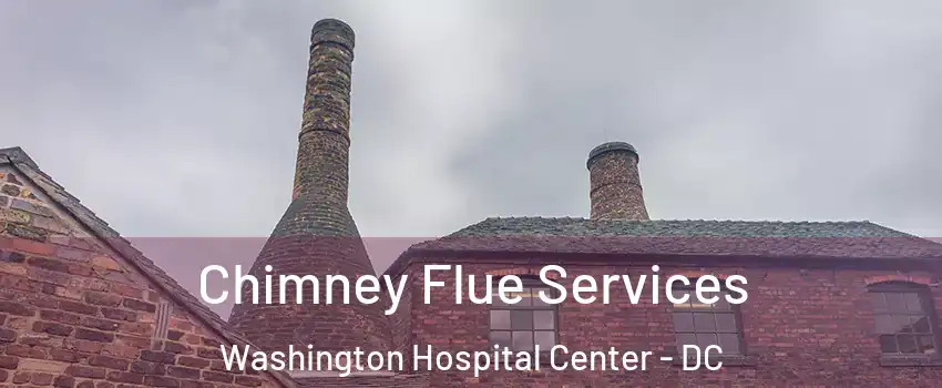 Chimney Flue Services Washington Hospital Center - DC