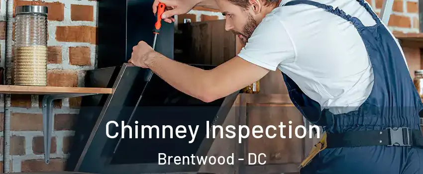 Chimney Inspection Brentwood - DC