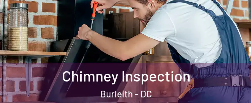 Chimney Inspection Burleith - DC