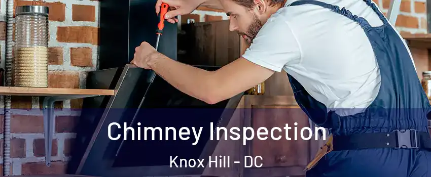 Chimney Inspection Knox Hill - DC