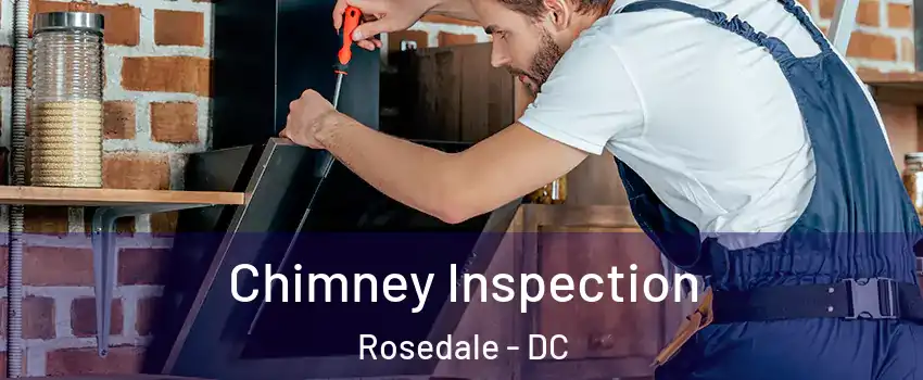 Chimney Inspection Rosedale - DC