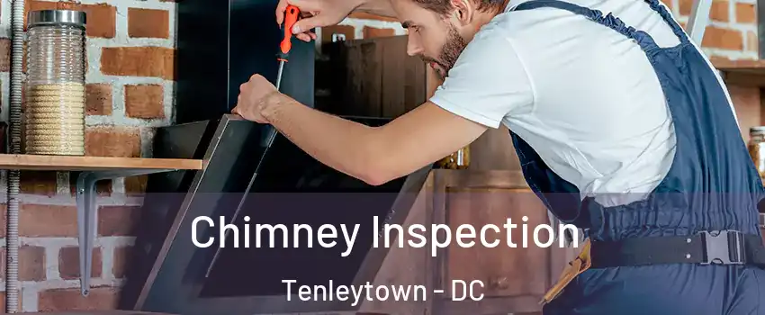 Chimney Inspection Tenleytown - DC