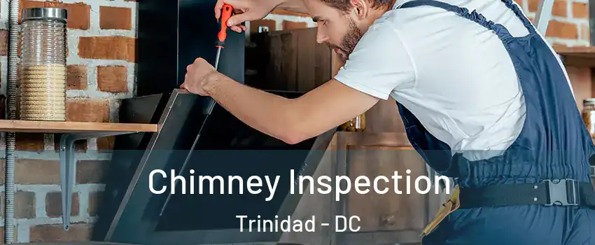 Chimney Inspection Trinidad - DC