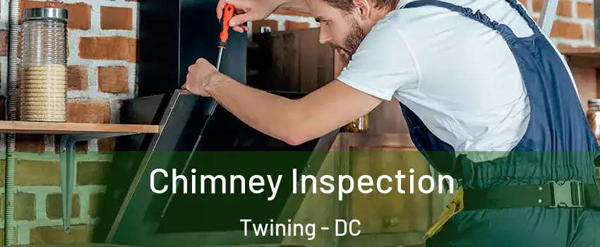 Chimney Inspection Twining - DC