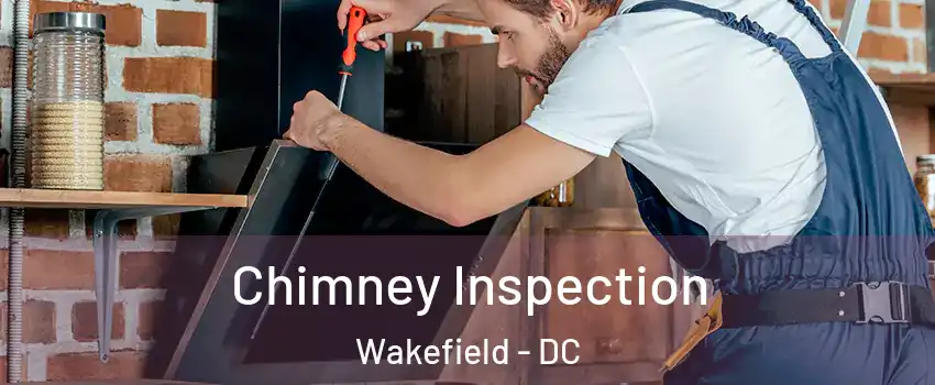 Chimney Inspection Wakefield - DC