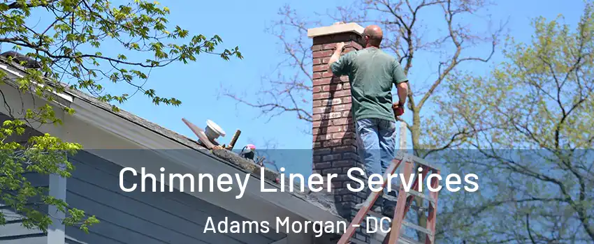 Chimney Liner Services Adams Morgan - DC