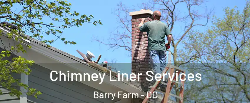 Chimney Liner Services Barry Farm - DC