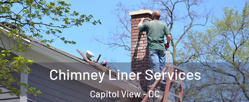 Chimney Liner Services Capitol View - DC