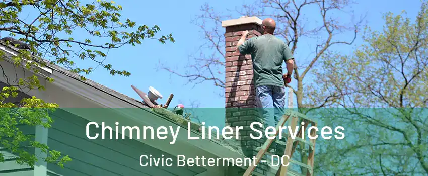 Chimney Liner Services Civic Betterment - DC