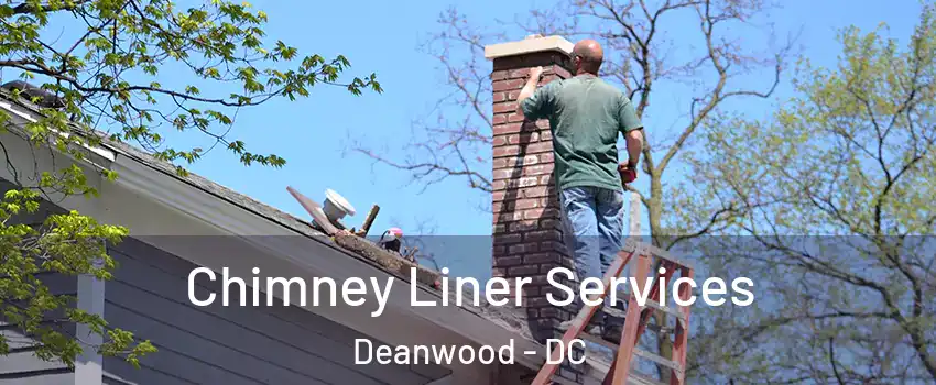 Chimney Liner Services Deanwood - DC