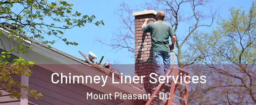 Chimney Liner Services Mount Pleasant - DC