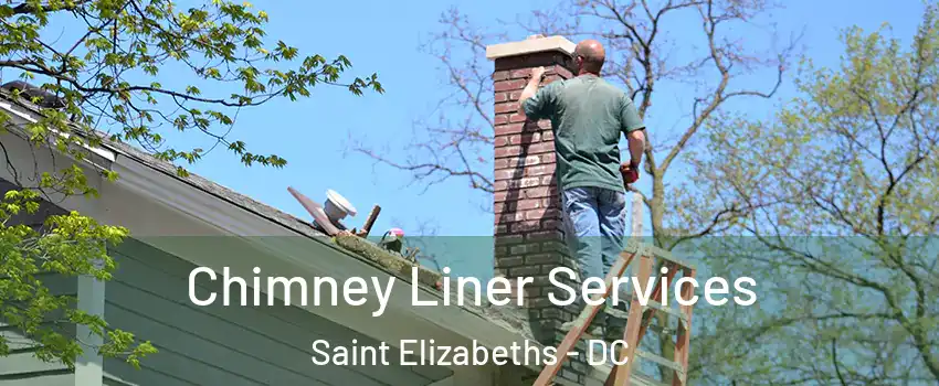 Chimney Liner Services Saint Elizabeths - DC