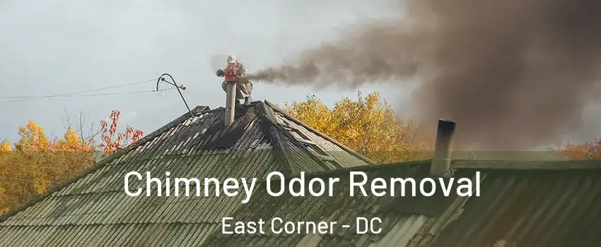 Chimney Odor Removal East Corner - DC