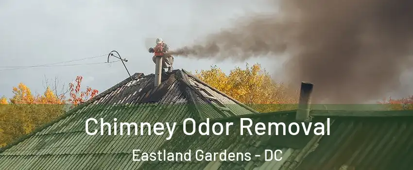 Chimney Odor Removal Eastland Gardens - DC