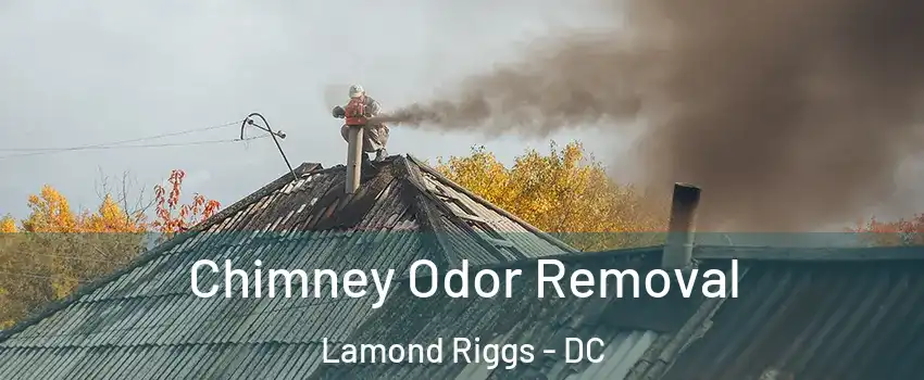 Chimney Odor Removal Lamond Riggs - DC