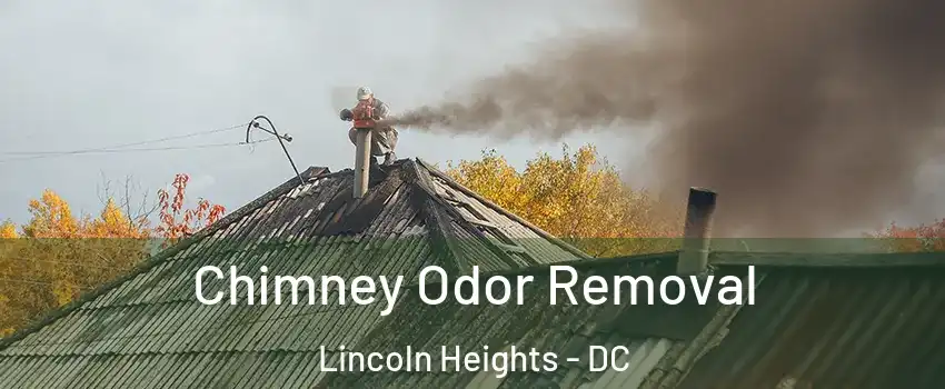 Chimney Odor Removal Lincoln Heights - DC