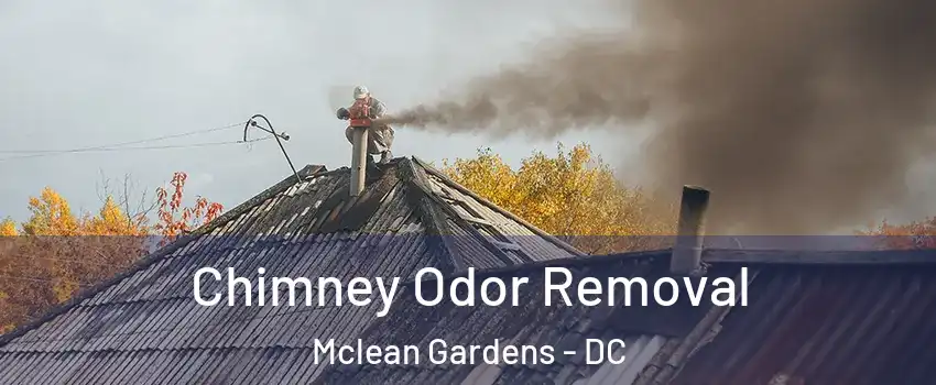 Chimney Odor Removal Mclean Gardens - DC