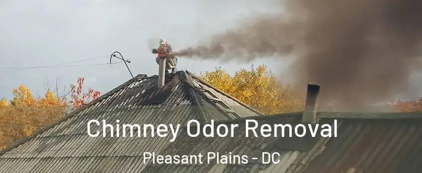 Chimney Odor Removal Pleasant Plains - DC