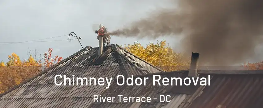 Chimney Odor Removal River Terrace - DC