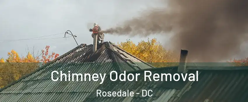 Chimney Odor Removal Rosedale - DC