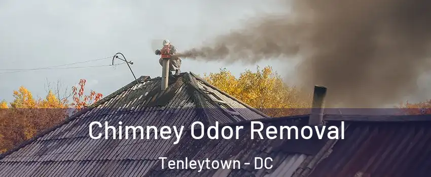 Chimney Odor Removal Tenleytown - DC