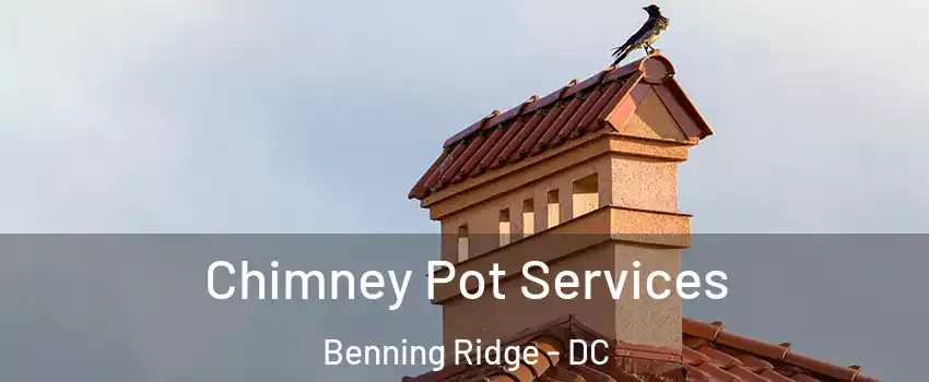 Chimney Pot Services Benning Ridge - DC