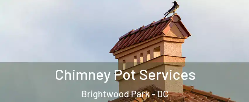 Chimney Pot Services Brightwood Park - DC