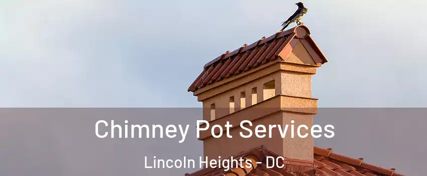 Chimney Pot Services Lincoln Heights - DC