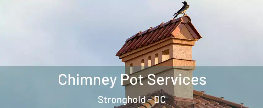 Chimney Pot Services Stronghold - DC