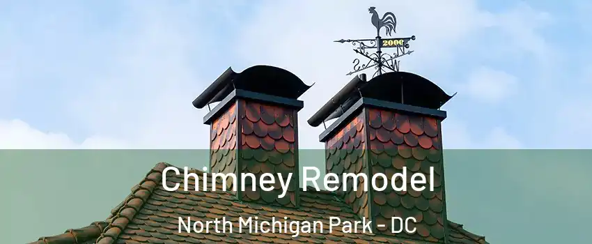 Chimney Remodel North Michigan Park - DC